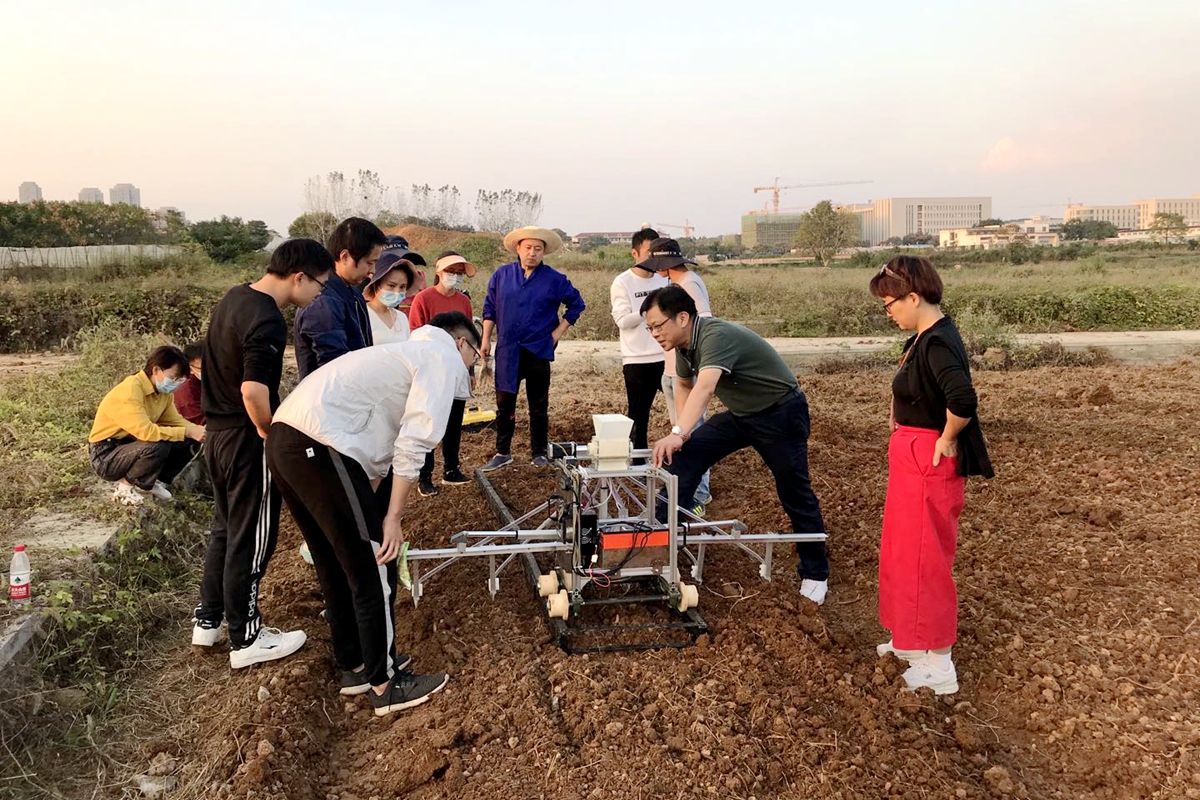 廖庆喜(右二)指导研究生开展田间试验